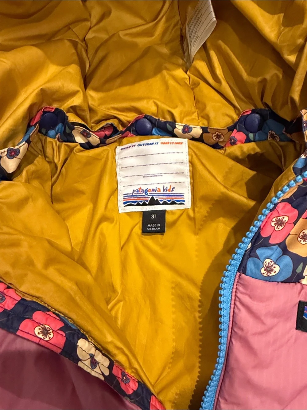 Patagonia Toddler Astropuff Hoody